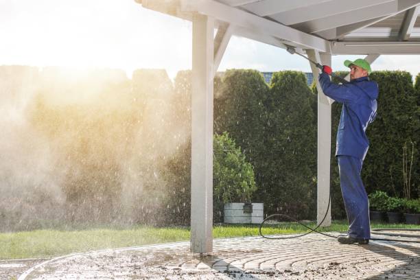Animal Enclosure Cleaning in Blowing Rock, NC